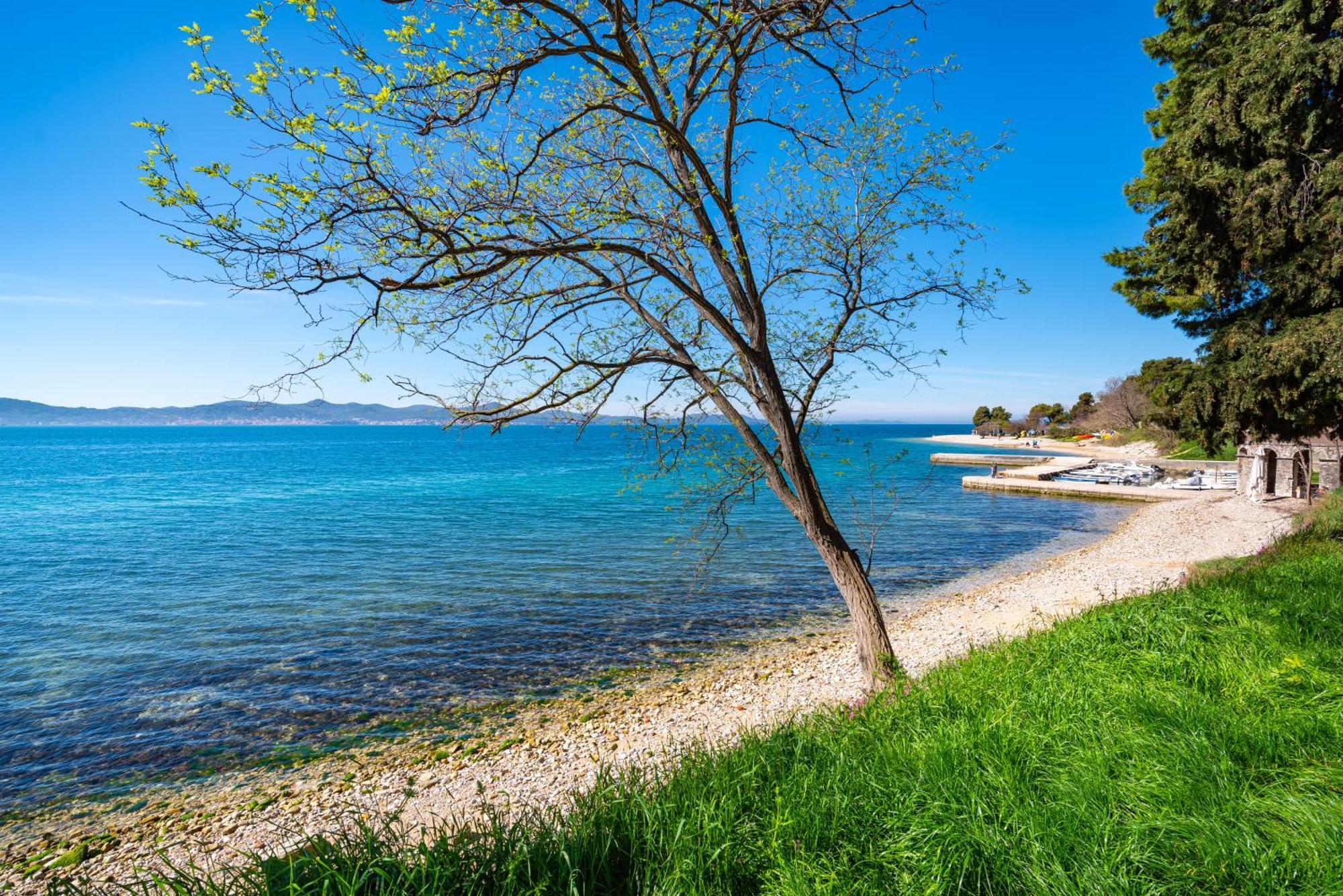 Kolovare Garden Oasis - First Row By Sea Lejlighed Zadar Eksteriør billede